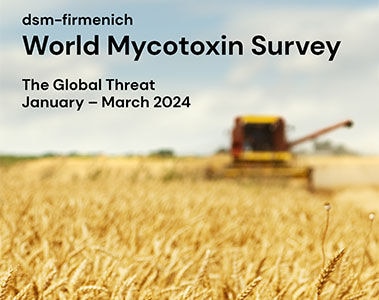 Download the dsm-firmenich World Mycotoxin Survey January to March 2024