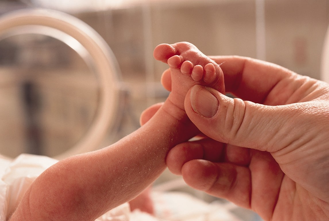 早産児の栄養：人生の最高のスタートを切るために手を携えて 