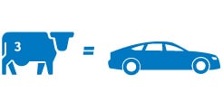 Ícono de un animal bovino con el número tres estampado; a su derecha hay un signo de igualdad y luego el ícono de un automóvil.