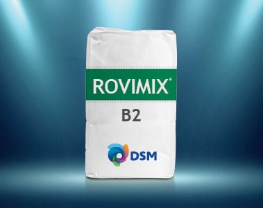 Spotlight On Rovimix® B2, AKA Riboflavin