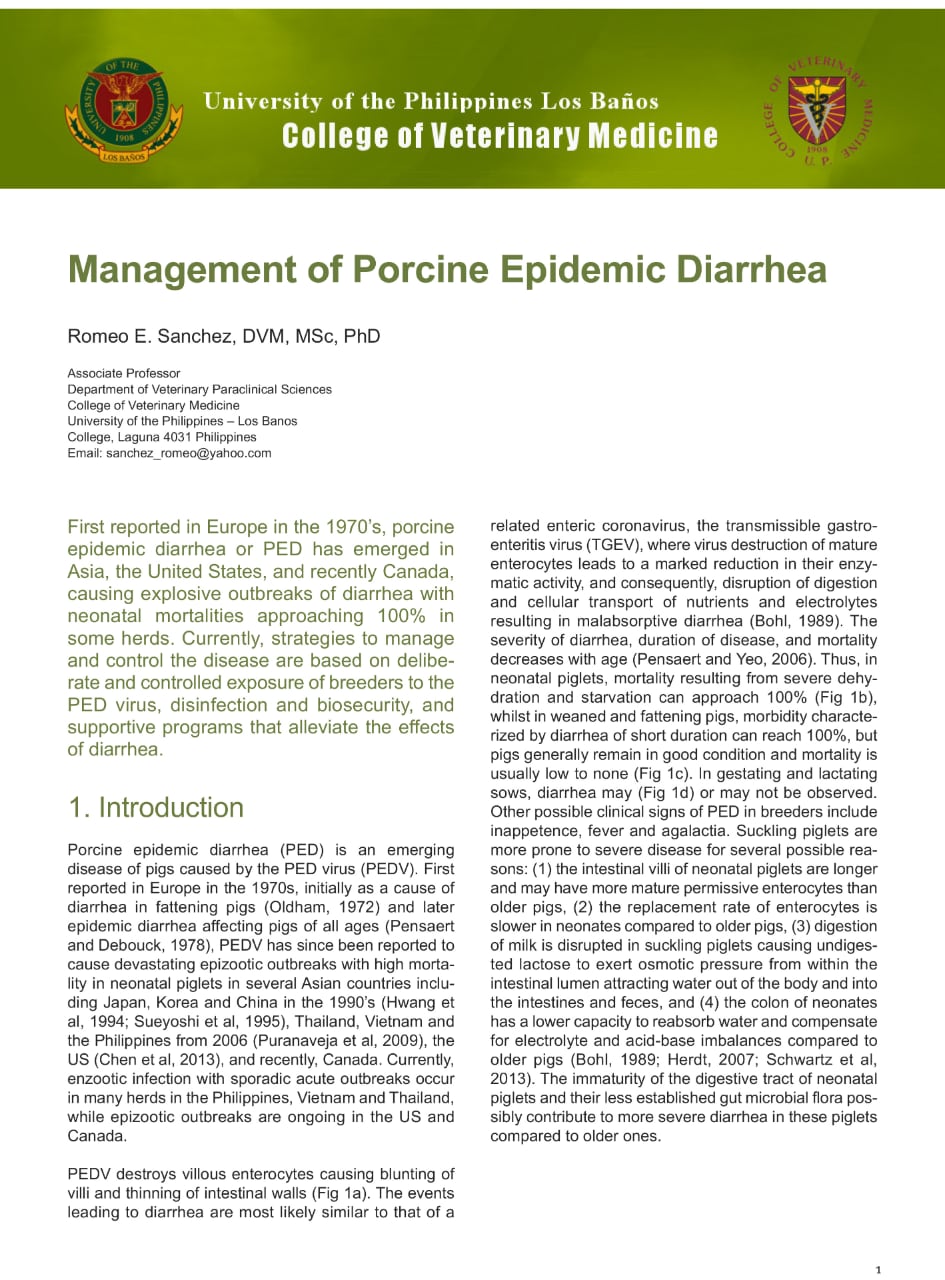 Management Of Porcine Epidemic Diarrhea   Management Of Porcine Epidemic Diarrhea.thumb.800.480 