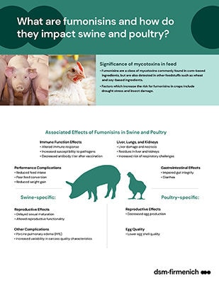 Mycofix Fumzyme 2-Pager - Canada Swine & Poultry