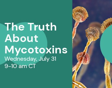 Webinar: The Truth About Mycotoxins