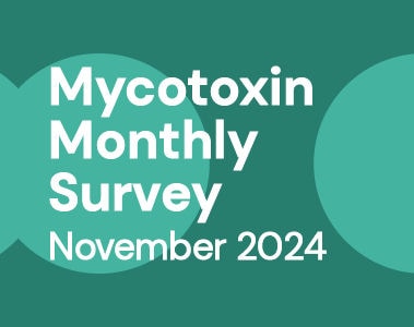 Mycotoxin Survey Monthly Update: November 2024