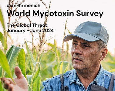 Download the dsm-firmenich World Mycotoxin Survey January to June 2024