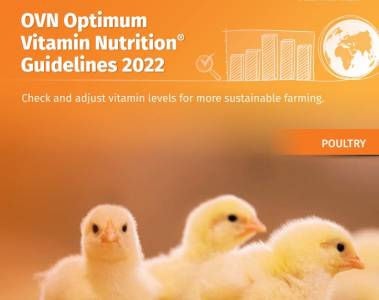 Nutrición Vitamínica Óptima (OVN™) - Guía 2022 para Aves