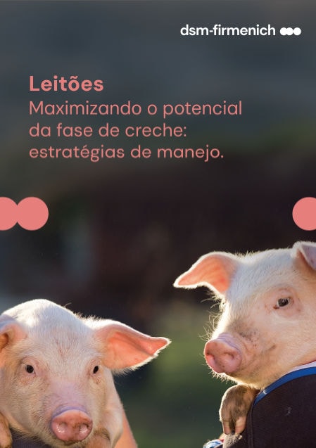 Leitões - Maximizando o potencial da fase de creche: estratégias de manejo